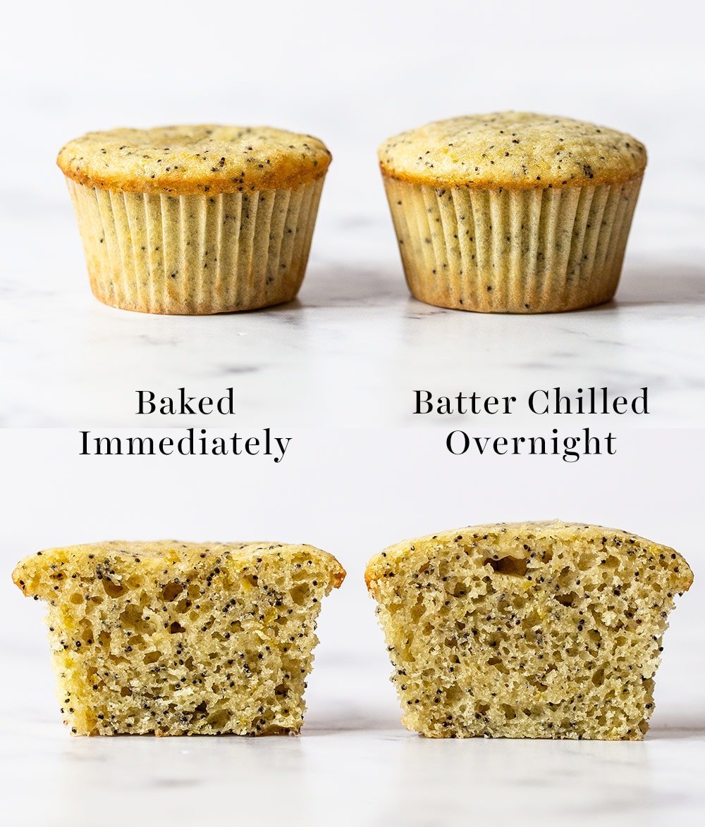 comparison of lemon muffins chilled vs batter not chilled