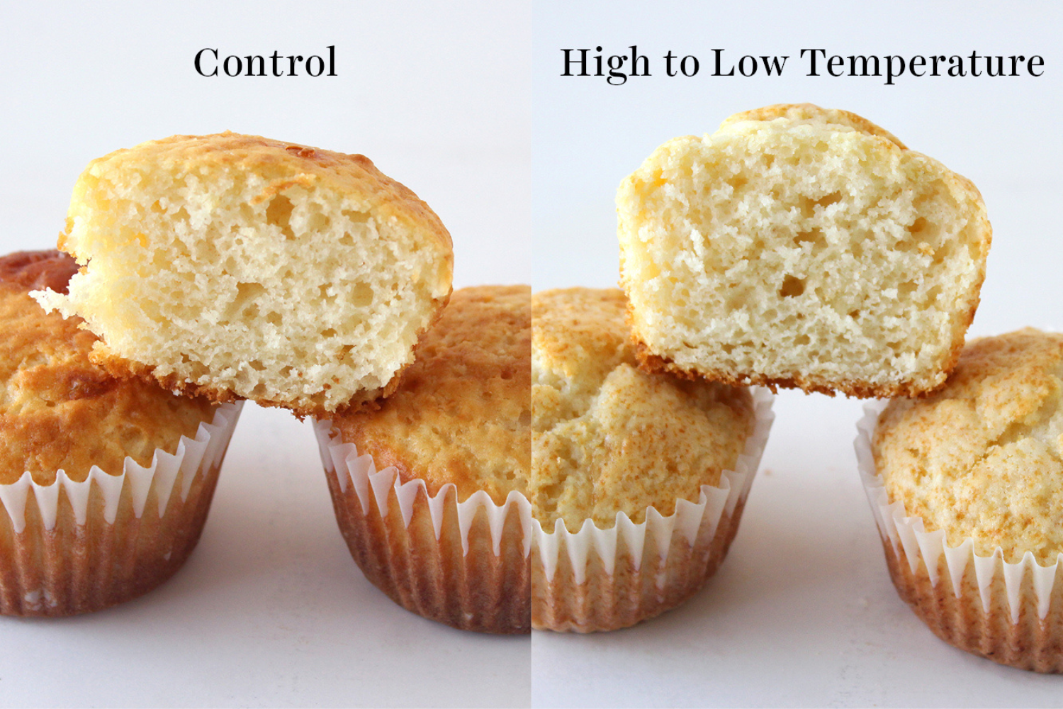 side-by-side comparison of control muffins vs muffins baked from a high to low temperature