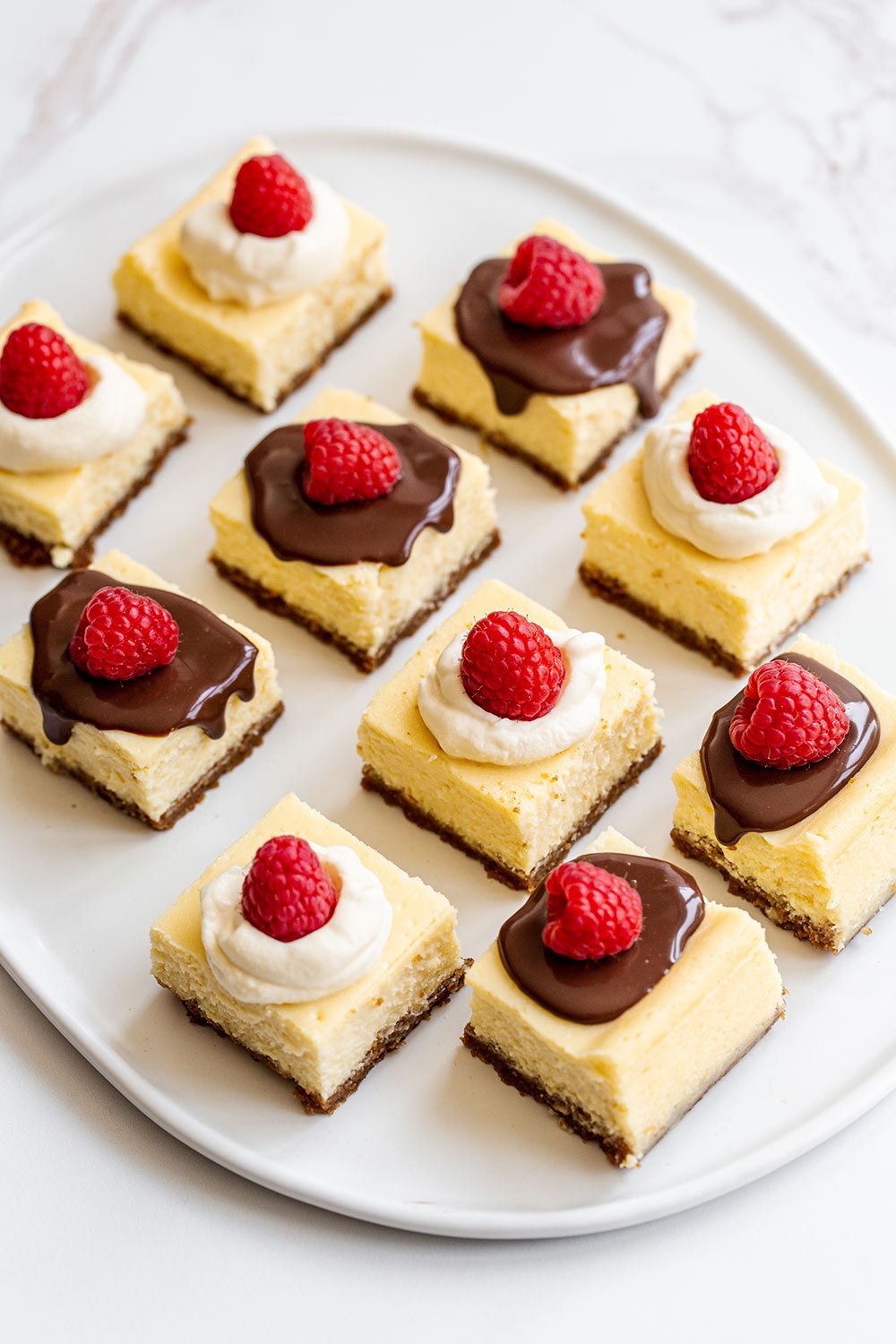 cheesecake squares topped with chocolate ganache or whipped cream and a fresh raspberry, ready to serve