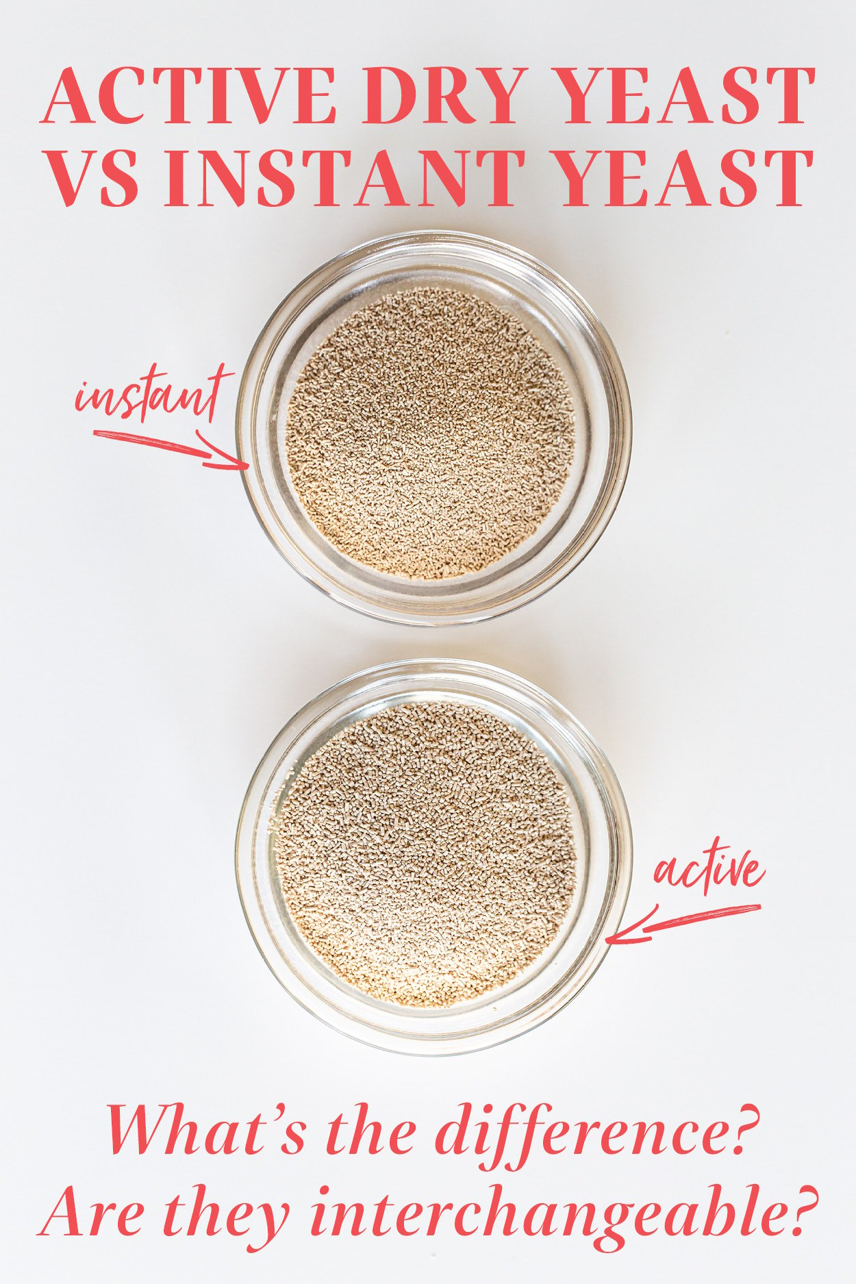 Dry Yeast vs. Instant Yeast Yeast Comparison Handle the Heat