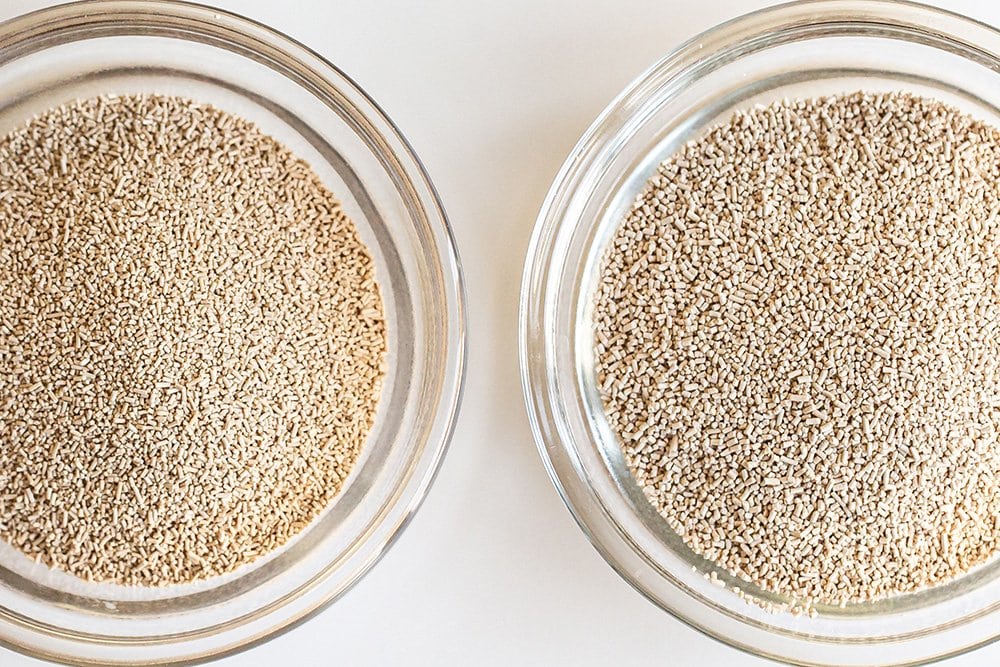 instant vs active dry yeast