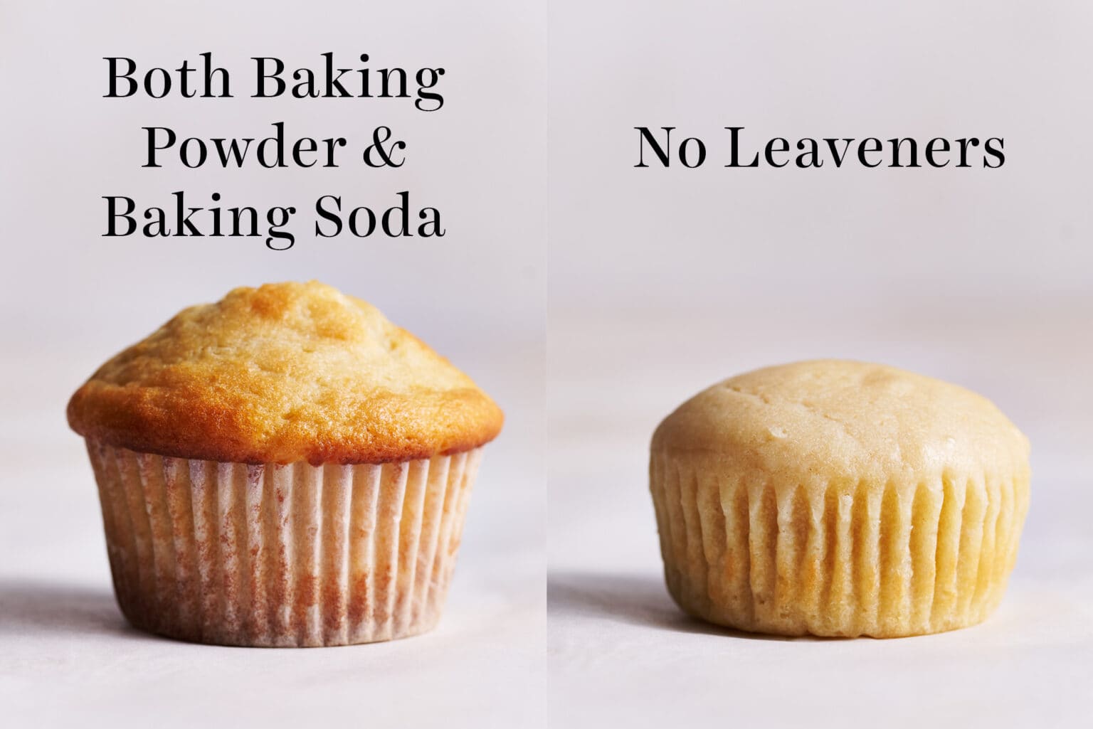Baking Soda vs Baking Powder Science of Baking