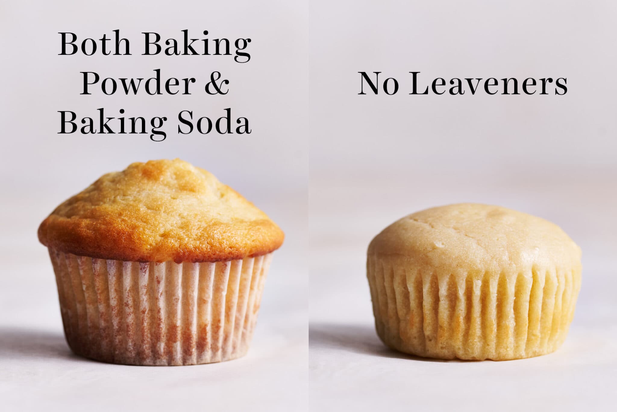 Baking Soda vs Baking Powder Science of Baking