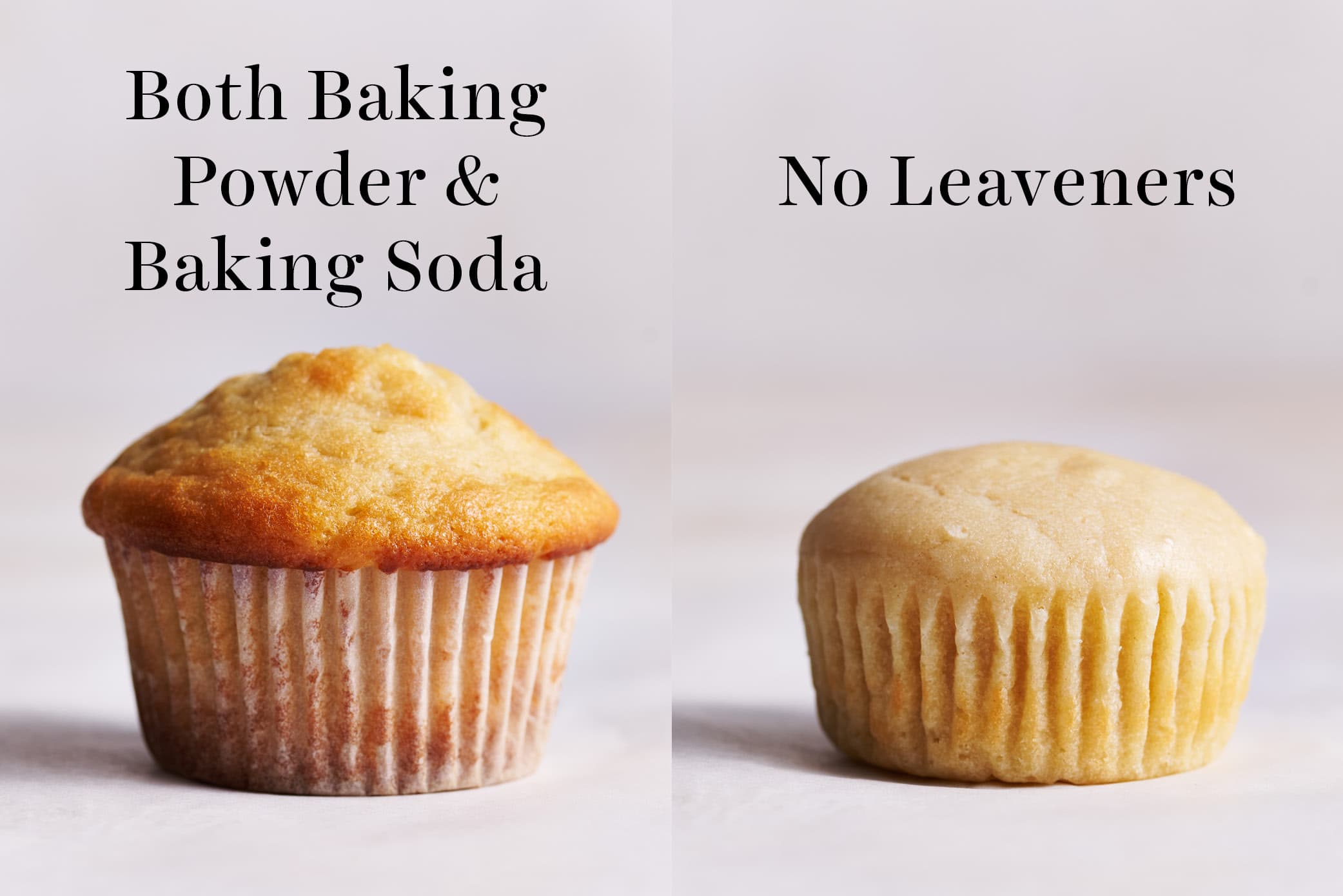 Baking Powder VS. Baking Soda When Baking Cookies