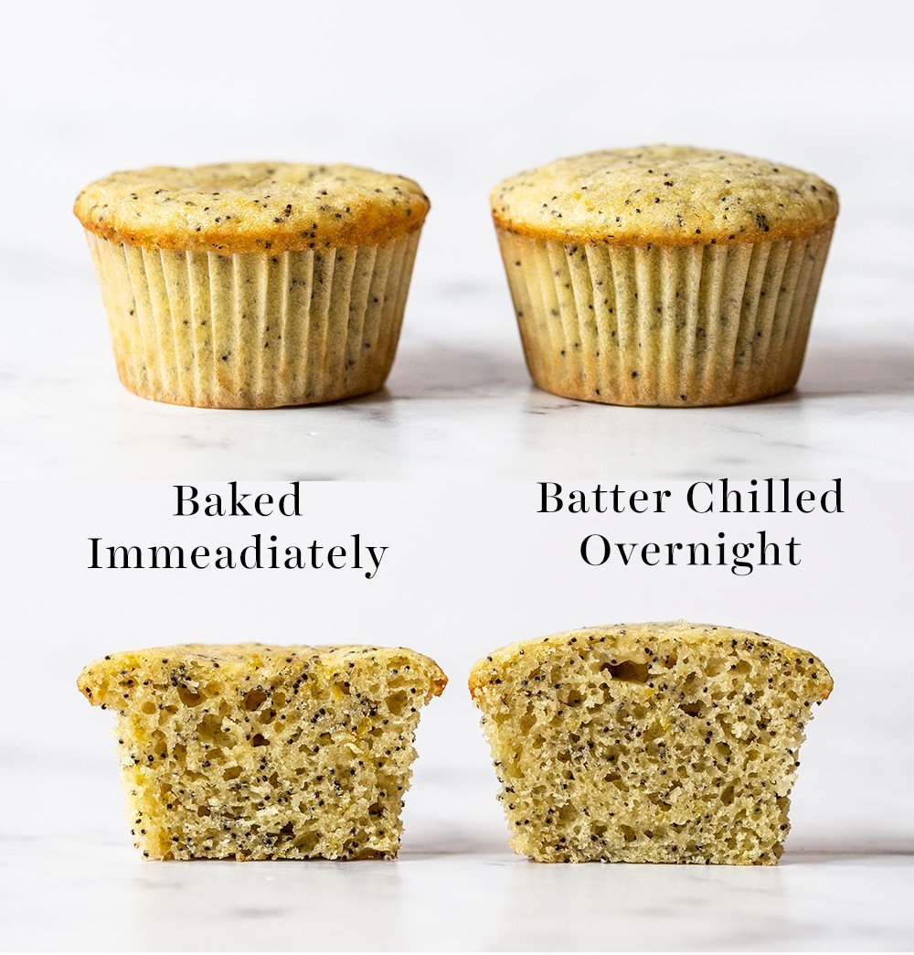 comparison of muffins showing the difference between the batter chilled vs batter not chilled