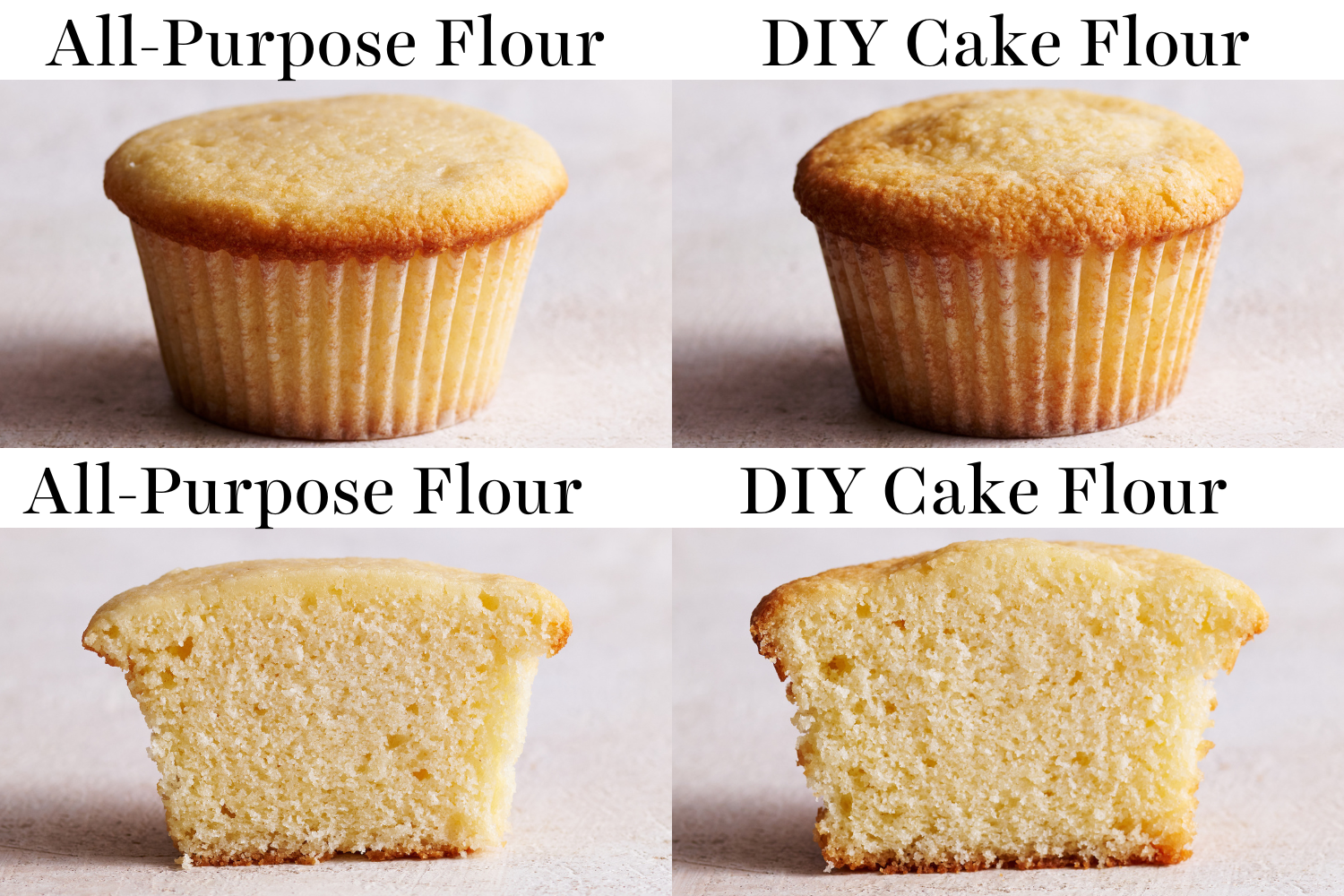 comparison of cupcakes made with all-purpose flour vs. DIY cake flour.