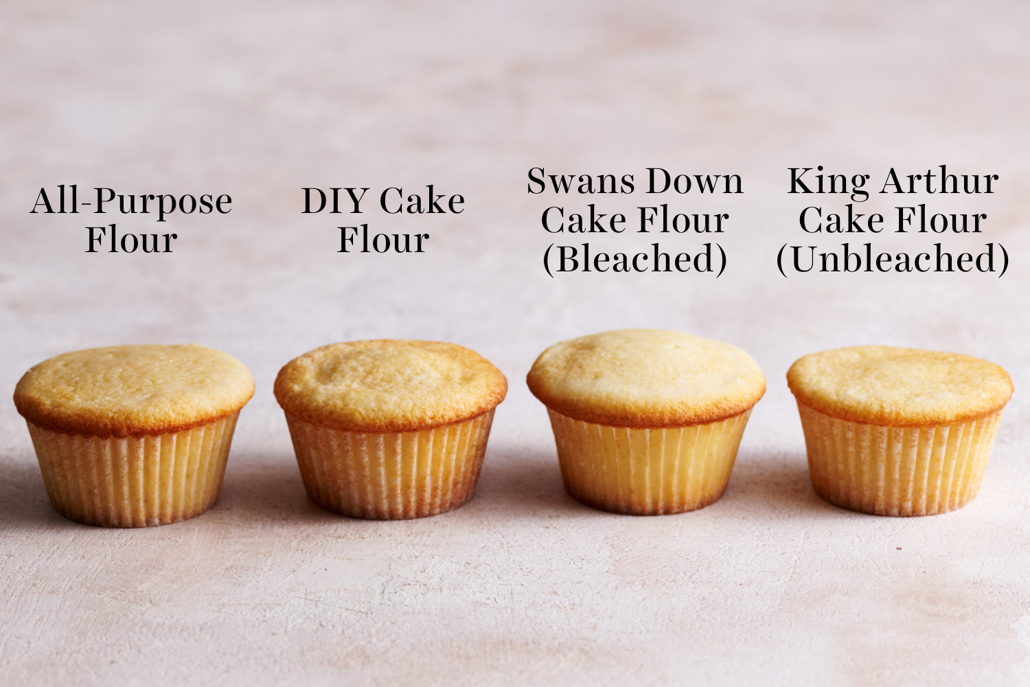 lineup of each test cupcake from above, side-by-side.