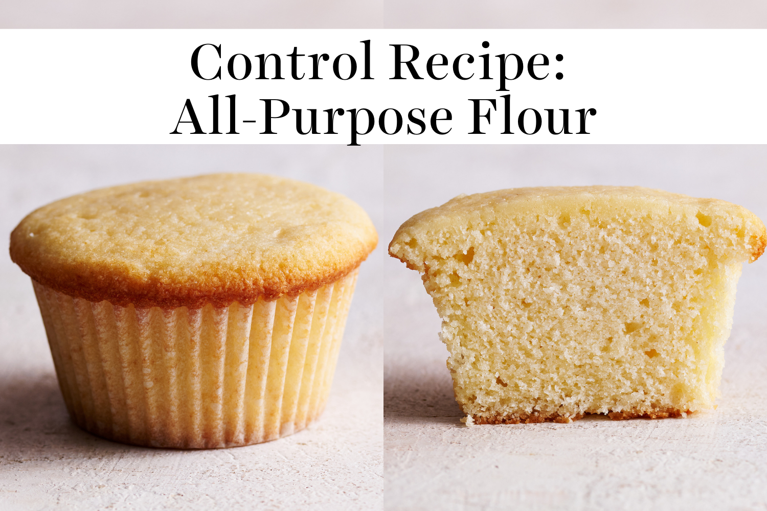 the control recipe as a whole cupcake and also cut in half. This was made with all-purpose flour.