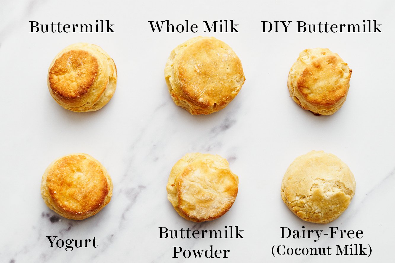 all our buttermilk biscuits and biscuits made with buttermilk substitutions and alternatives, on a marble background next to each other, for direct comparison 