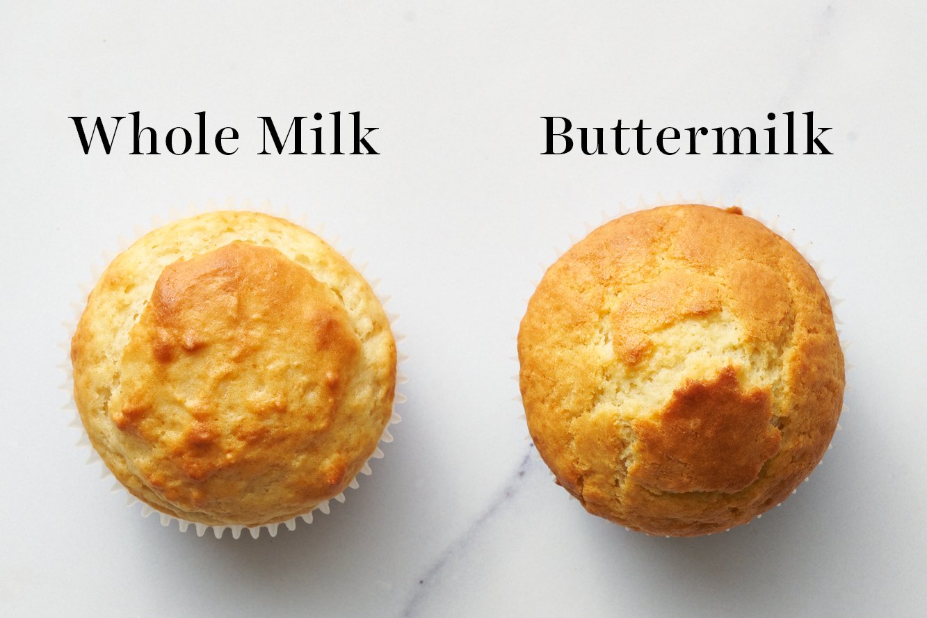 aerial view of two muffins beside each other, one made with whole milk and one made with buttermilk 