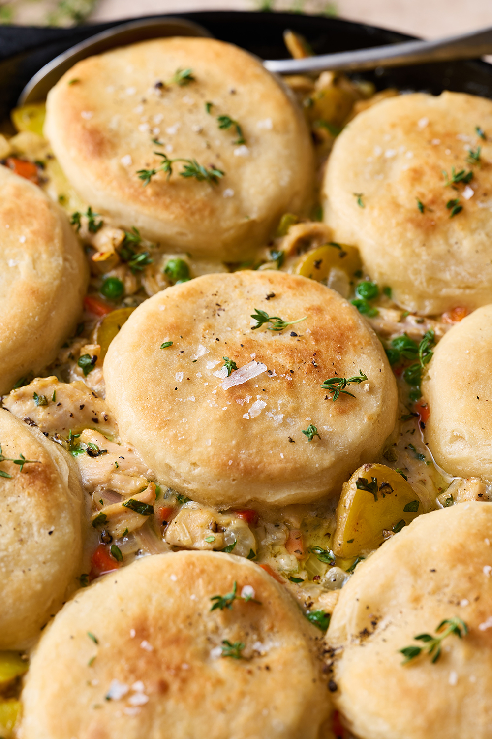 close-up shot of chicken pot pie with biscuits on top