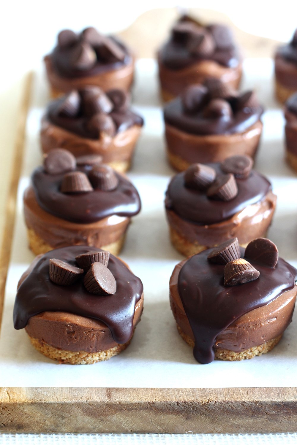 many No Bake Mini Peanut Butter Cheesecakes, topped with ganache and mini PB cups, lined up on a baking tray
