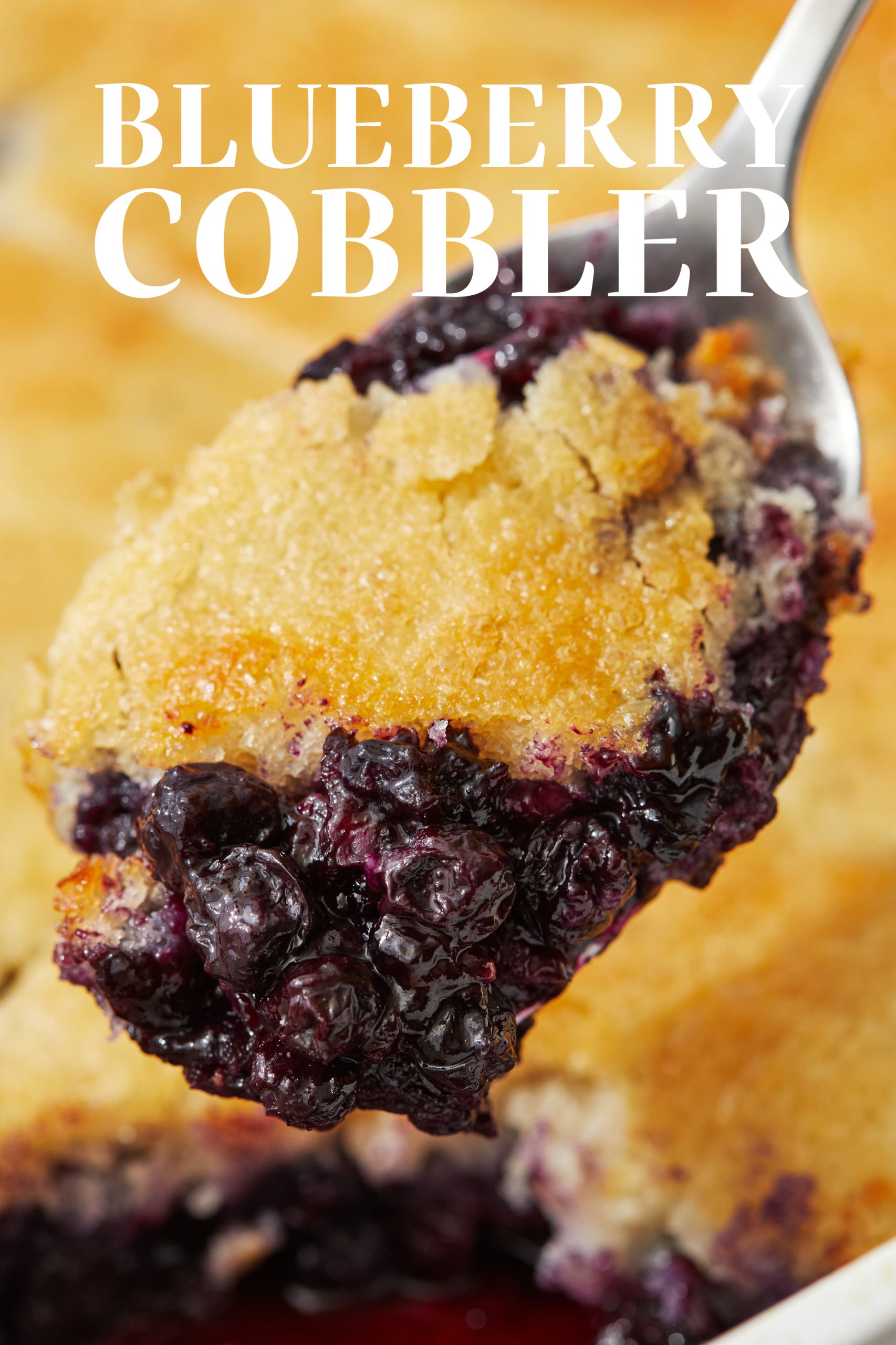 Easy Blueberry Cobbler Recipe - Handle the Heat