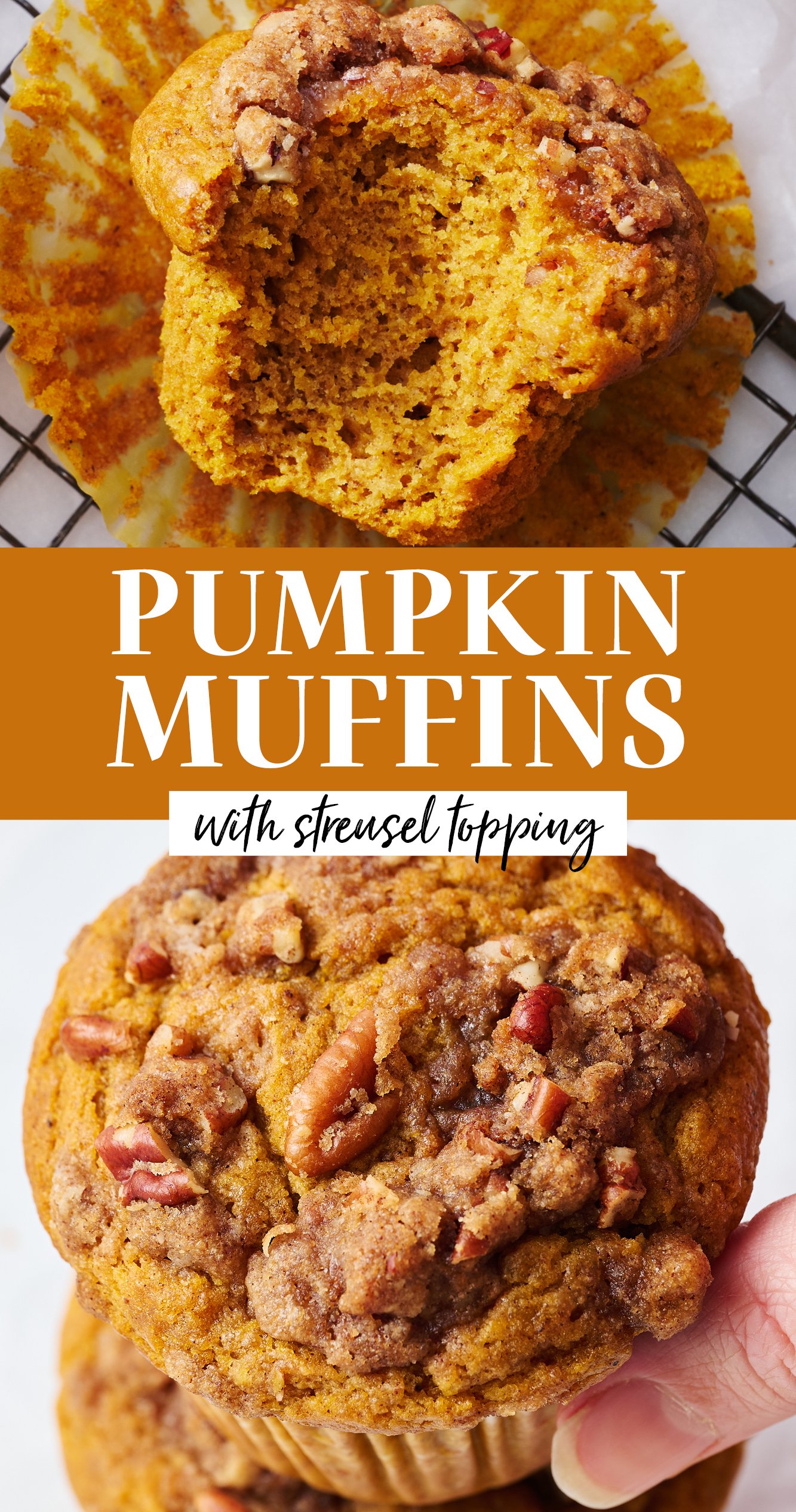 Pumpkin Muffins   Pumpkin Muffins Recipe 1 