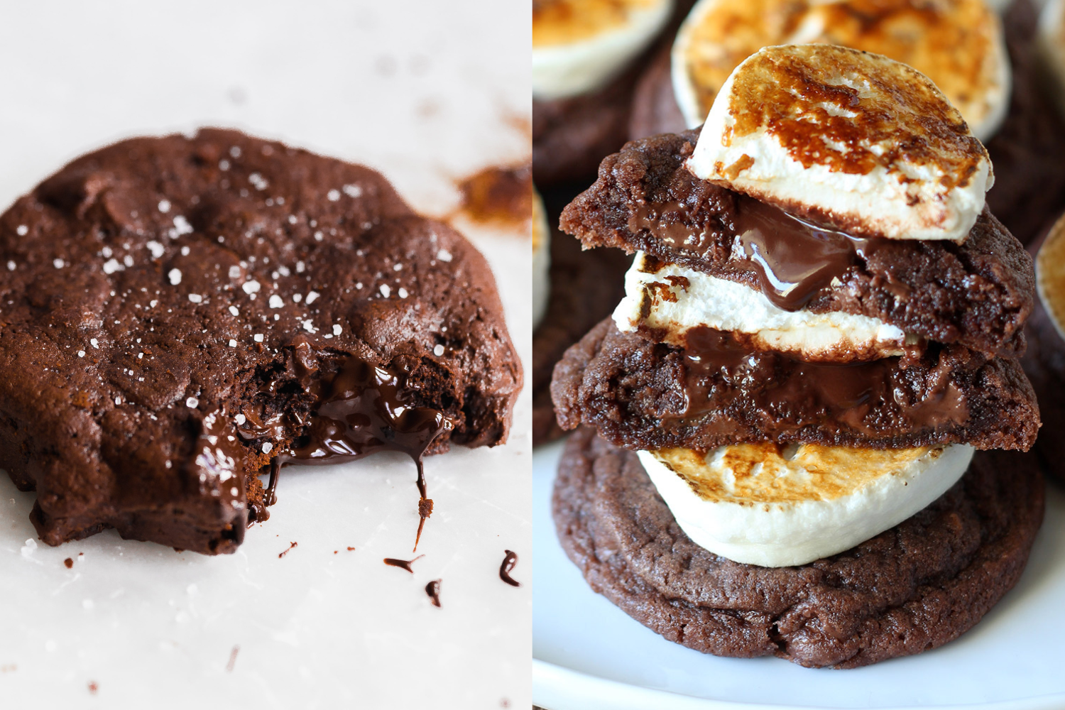 two chocolate Christmas cookie types, side-by-side.