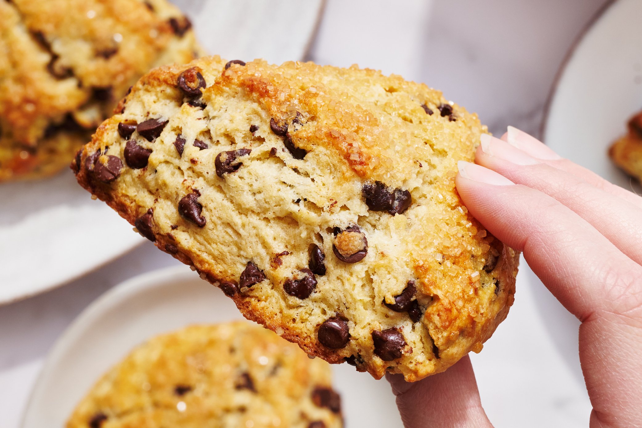 hand holding up a chocolate chip scone