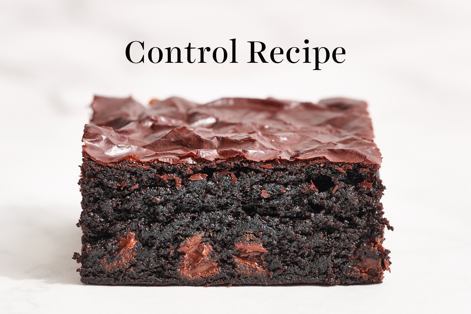 a slice of the control brownie recipe.