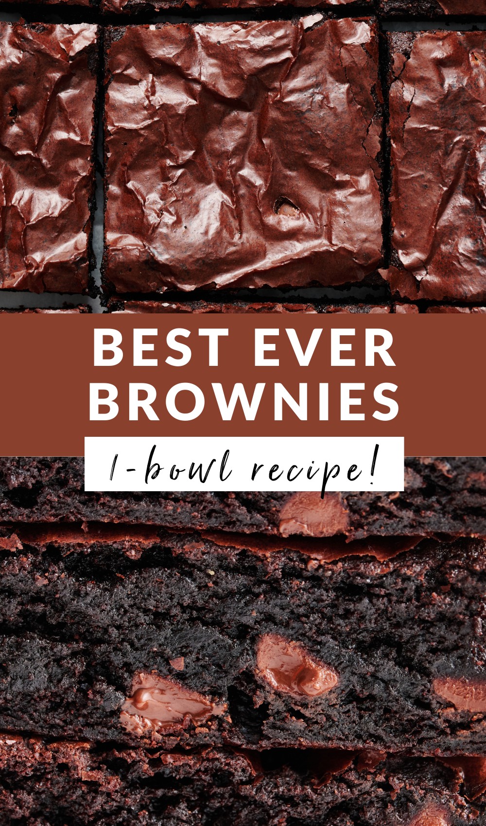 Best Ever Chewy Brownies Recipe Handle the Heat