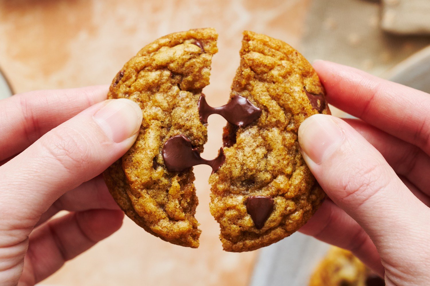 one pumpkin cookie being broken in half to show the gooey chocolate chips inside.