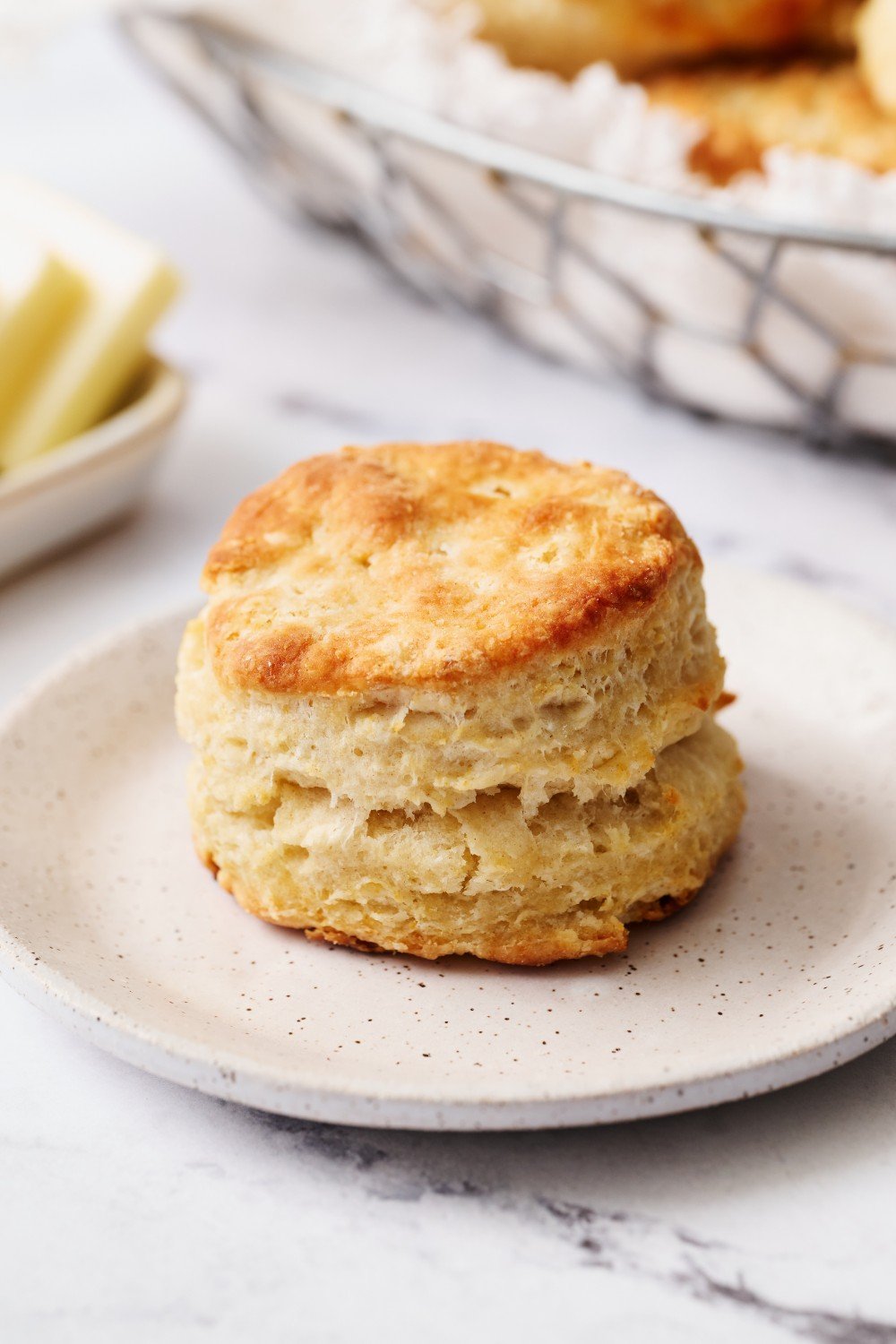 one biscuit on a white plate, ready to serve.