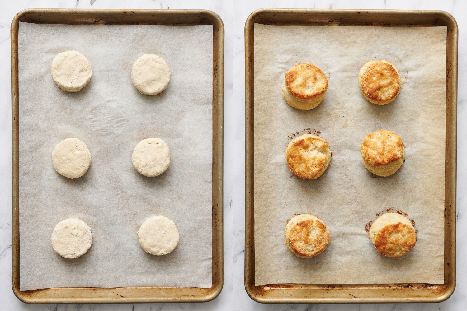 two side by side trays of biscuits, one before baking and the other after baking.