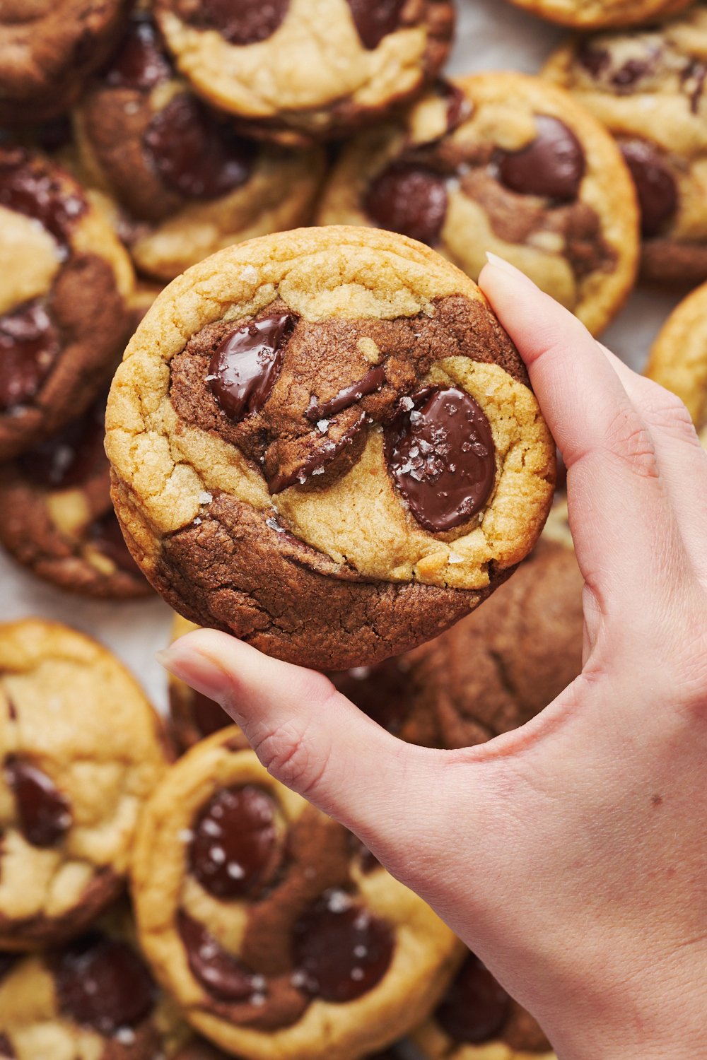 a hand holding one cookie with more cookies in the background. 