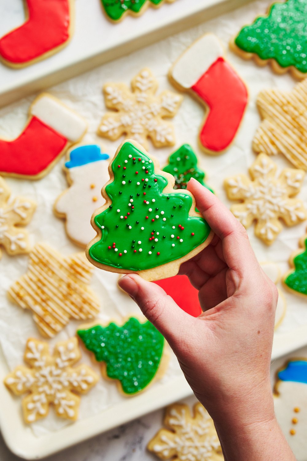 a hand holding an iced christmas tree cookie, decorated with red and green sprinkles.