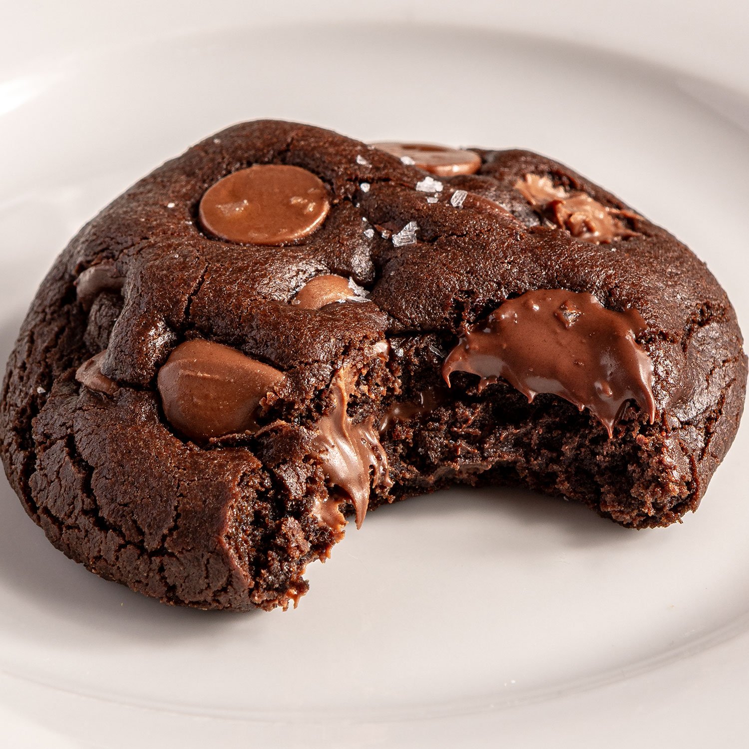 Double Chocolate Chip Cookies