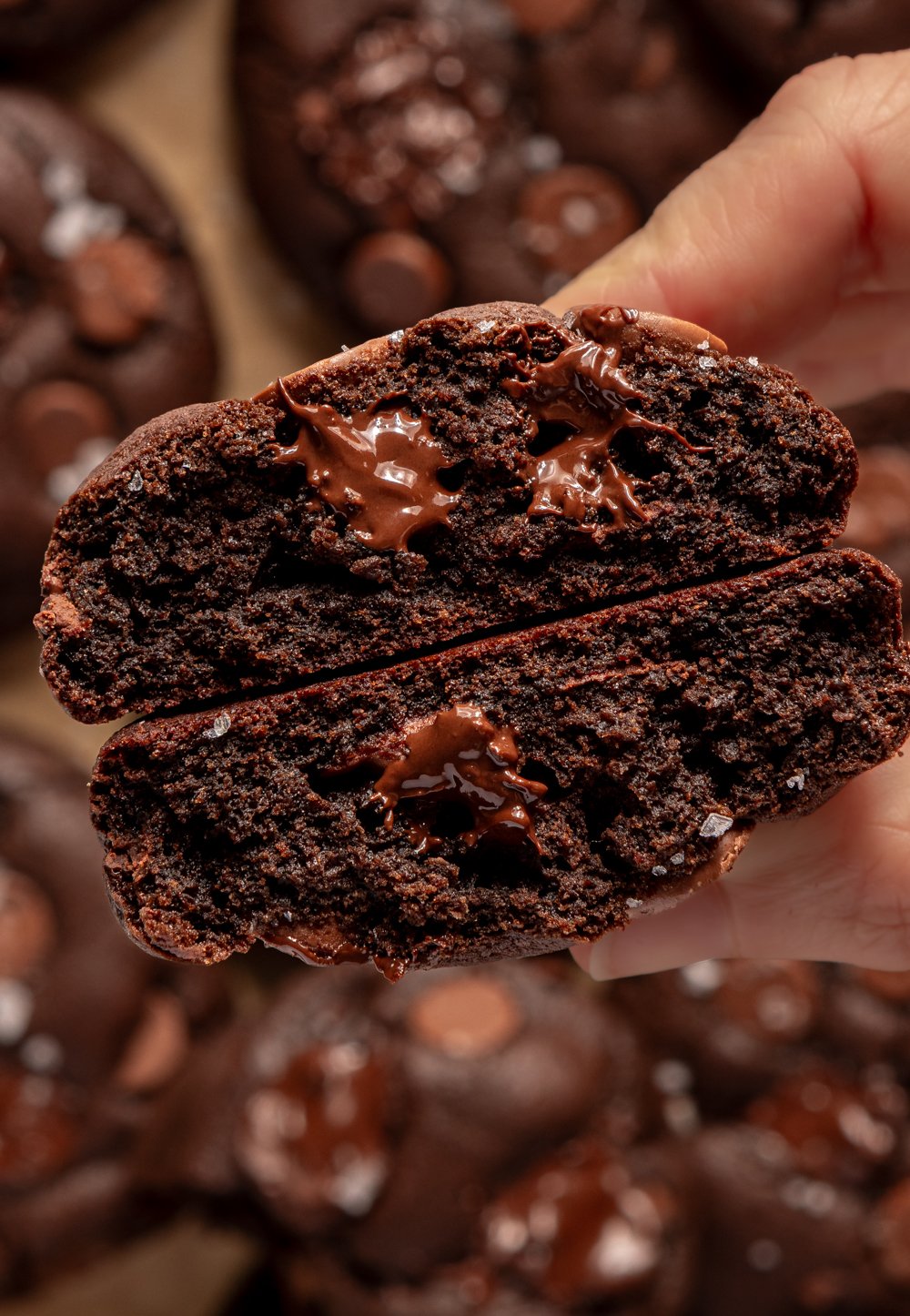 hand holding two cut open halves of a thick chocolate cookie
