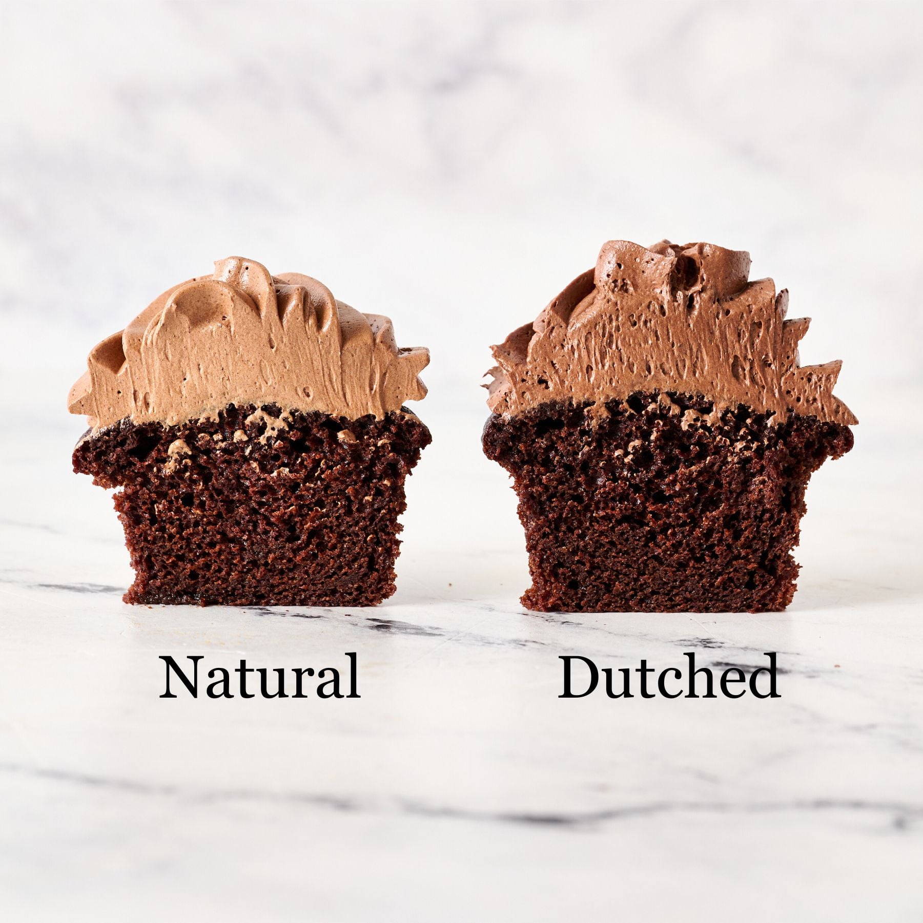 Two cupcakes cut in half to reveal interior: one made with natural cocoa powder and one made with Dutch process cocoa powder
