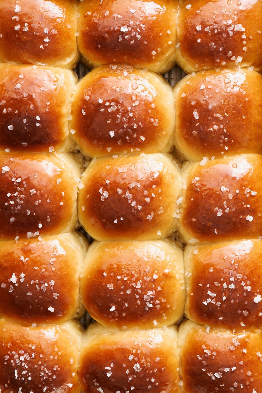 up close overhead shot of tray of golden brown salted honey butter dinner rolls