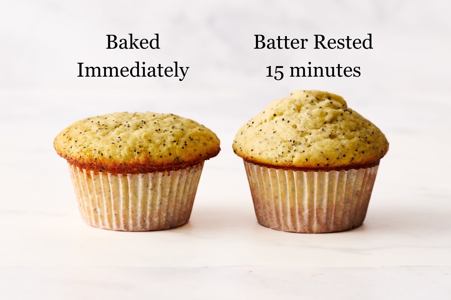 2 lemon poppyseed muffins compared, one baked immediately and one baked after resting the batter 15 minutes, showing a much taller muffin top