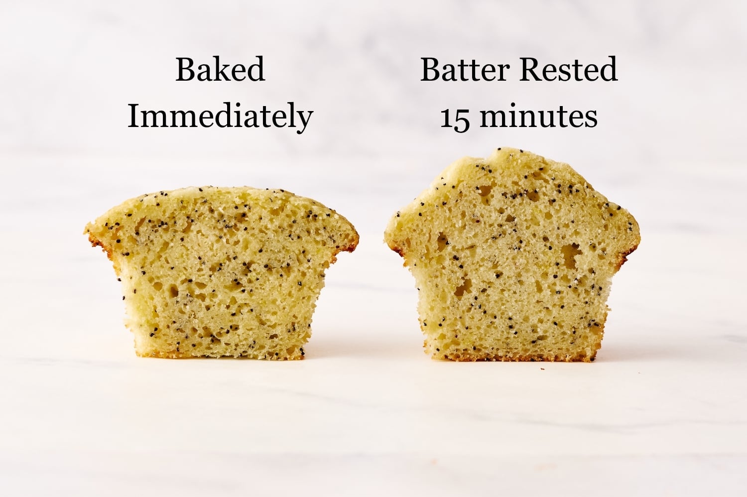2 lemon poppyseed muffins compared, one baked immediately and one baked after resting the batter 15 minutes, showing a much taller muffin top