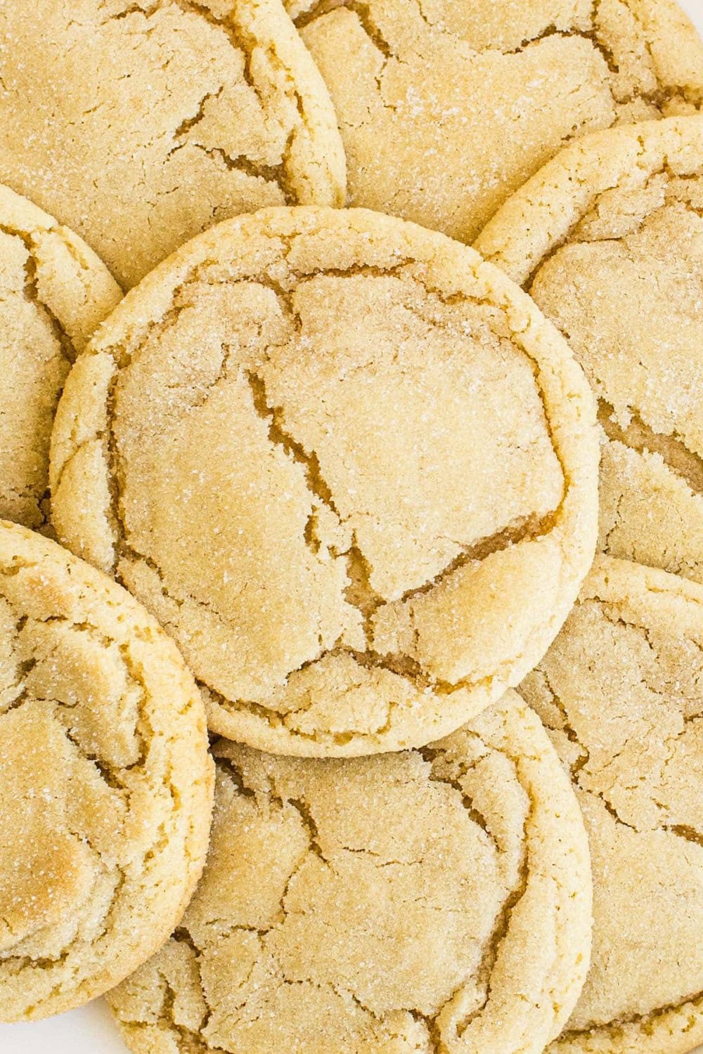 close-up of a plate of soft and chewy sugar cookies