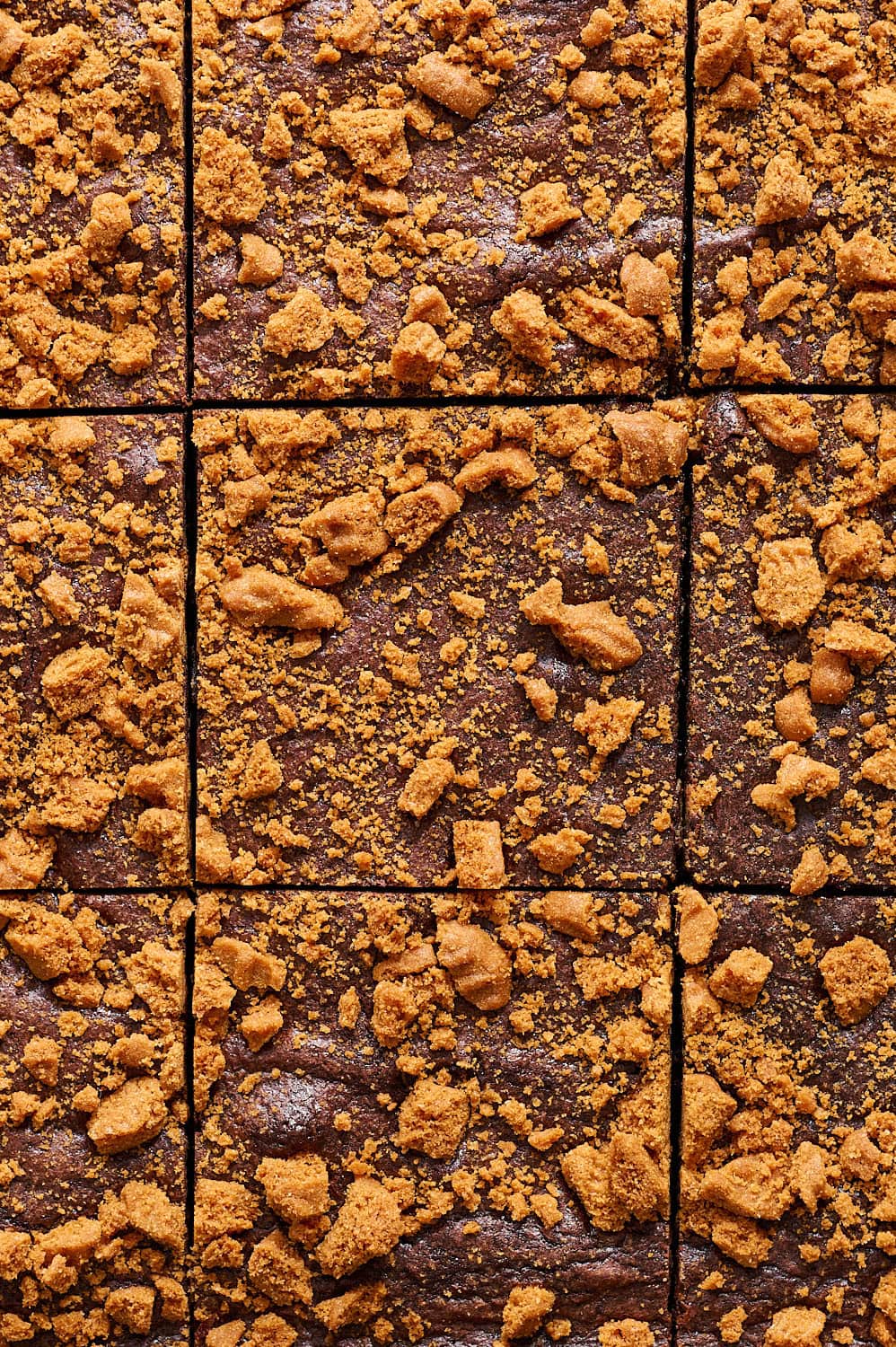 overhead view of sliced biscoff brownies