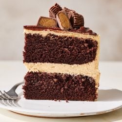 a slice of chocolate peanut butter cake standing tall on a white plate with a fork