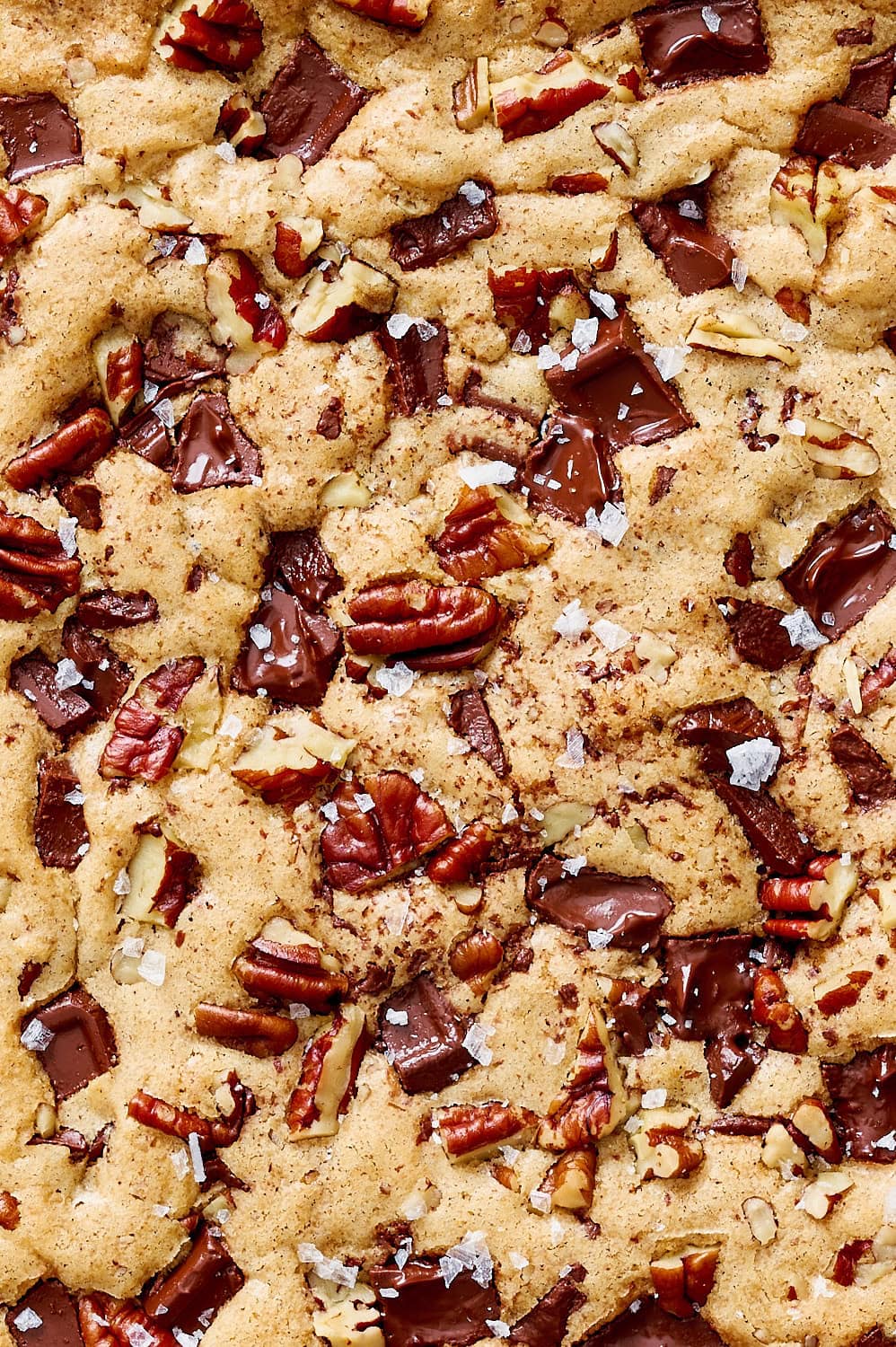 macro overhead view of the top of a sheet of bourbon pecan chocolate chunk blondies